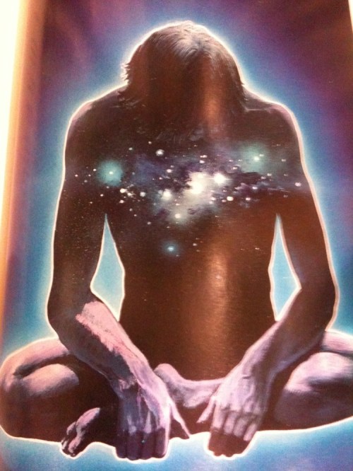 Media_httpwwwtumblrco_atflv